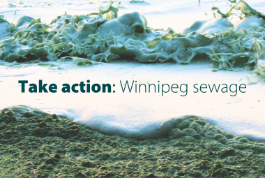 Take action: Winnipeg sewage