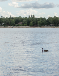 Scenery photo of Lake Winnipeg.